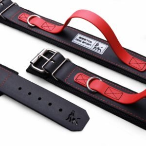 1-collar-bestia-sport-20.jpg BESTIA Dog Sport antkaklis su raudona rankena