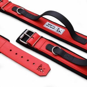 1-collar-bestia-sport-21.jpg BESTIA Dog Sport antkaklis su rankena – raudonas, juoda rankena