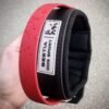 bestia-dog-sport-red-handle-collar-498049.jpg BESTIA Dog Sport antkaklis su raudona rankena
