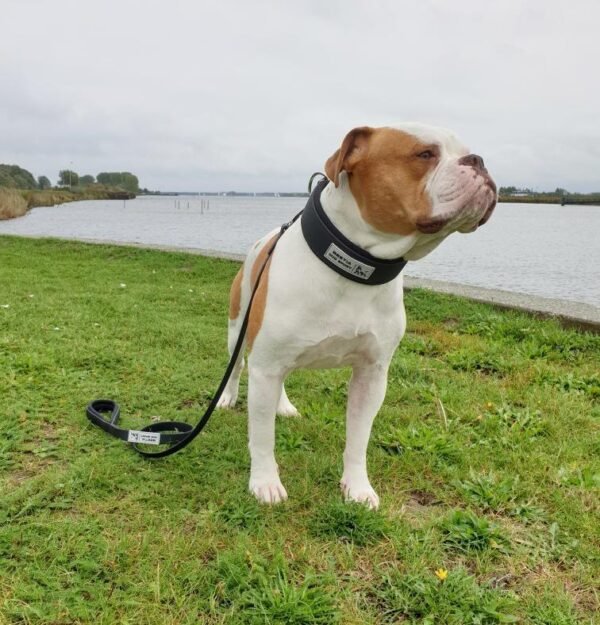 bestia-dog-sport-tactical-leash-763052.jpg BESTIA taktinis sportinis pavadėlis