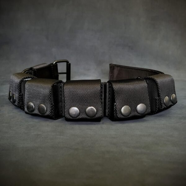 weighted-dog-training-collar-large-breeds-5-lbs-total-removable-weights-818777.jpg BESTIA treniruočių antkaklis su svoriu