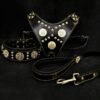 maximus-black-big-dog-set-harness-collar-lead-brass-rivets-810501.jpg BESTIA Maximus Black SET – petnešos, antkaklis ir pavadėlis (juoda, auksinės detalės)