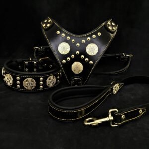 maximus-black-big-dog-set-harness-collar-lead-brass-rivets-810501.jpg BESTIA Maximus Black SET – petnešos, antkaklis ir pavadėlis (juoda, auksinės detalės)