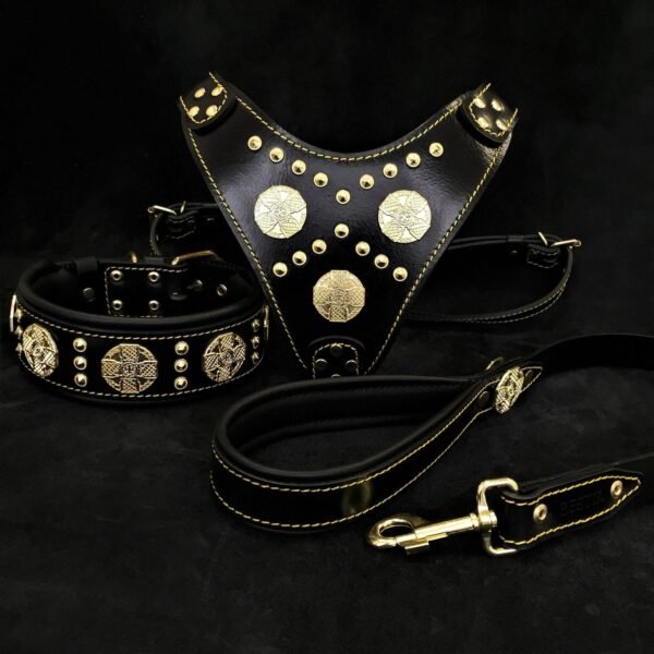 maximus-black-big-dog-set-harness-collar-lead-brass-rivets-810501.jpg BESTIA Maximus Black SET – petnešos, antkaklis ir pavadėlis (juoda, auksinės detalės)