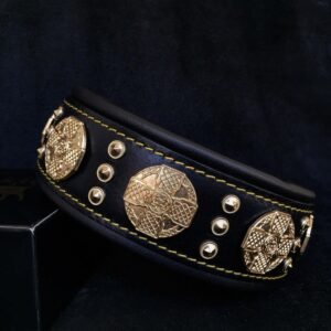 the-maximus-collar-25-inch-wide-black-gold-223185.jpg BESTIA Maximus odinis antkaklis – juodas, 6,3 cm, auksinės detalės (pagrindinis vaizdas)