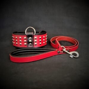 the-star-set-collar-leash-882002.jpg BESTIA Star odinis komplektas – antkaklis ir pavadėlis