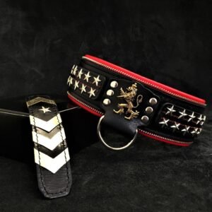 the-unique-general-leather-dog-collar-for-big-dogs-409612.jpg BESTIA General odinis antkaklis – Black/Red, platus 6,3 cm