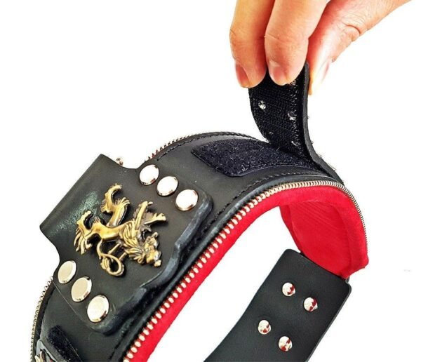 the-unique-general-leather-dog-collar-for-big-dogs-913281.jpg General – žvaigždžių kniedės ir centrinė emblema