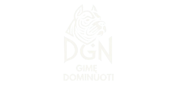 DGN Bully