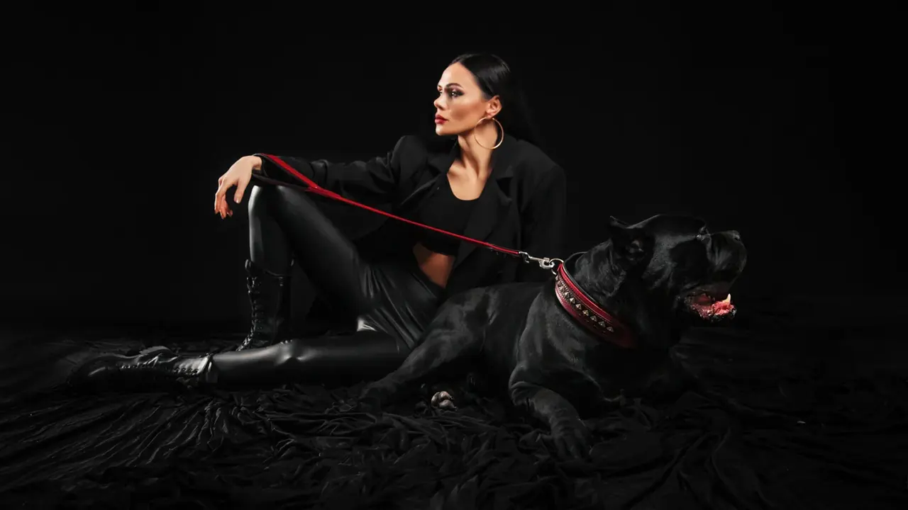 DGNBULLY Premium Line — Cane Corso su odiniu antkakliu